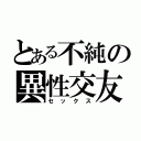 とある不純の異性交友（セックス）