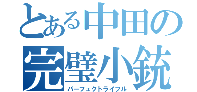 とある中田の完璧小銃（パーフェクトライフル）