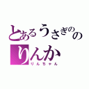 とあるうさぎののりんか（りんちゃん）