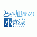 とある旭高の小宮涼（チンパンジー）