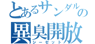 とあるサンダルの異臭開放（シーゼット）