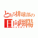 とある排球部の日向翔陽（小さな巨人）