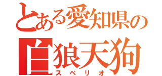 とある愛知県の白狼天狗（スベリオ）