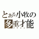 とある小牧の多重才能（イケメン）