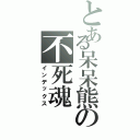 とある呆呆熊の不死魂Ⅱ（インデックス）