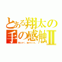 とある翔太の手の感触Ⅱ（柔らかく、温かだった。）