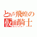 とある飛蝗の仮面騎士（カメンライダー）