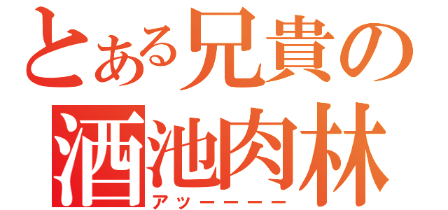 とある兄貴の酒池肉林（アッーーーー）