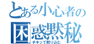 とある小心者の困惑黙秘（チキッて黙り込む）