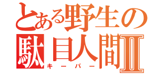 とある野生の駄目人間Ⅱ（キーパー）