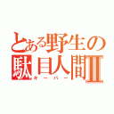 とある野生の駄目人間Ⅱ（キーパー）