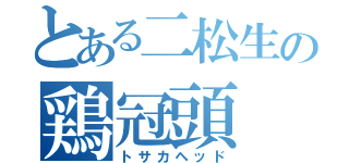 とある二松生の鶏冠頭（トサカヘッド）