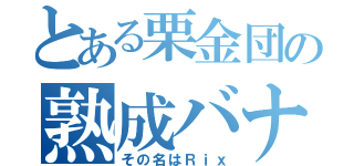 とある栗金団の熟成バナナ（その名はＲｉｘ）