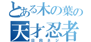 とある木の葉の天才忍者（日向ネジ）