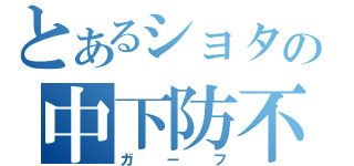 とあるショタの中下防不（ガーフ）