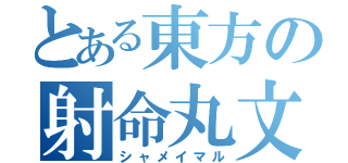 とある東方の射命丸文（シャメイマル）