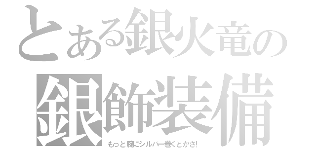 とある銀火竜の銀飾装備（もっと腕にシルバー巻くとかさ！）