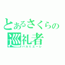 とあるさくらの巡礼者（パルミエーレ）