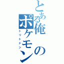 とある俺のポケモン（トリトドン）