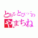 とあるとびっこのやまちね（担）