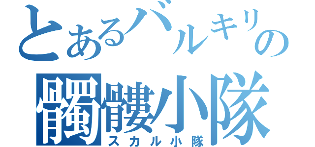 とあるバルキリーの髑髏小隊（スカル小隊）