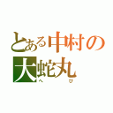 とある中村の大蛇丸（へび）