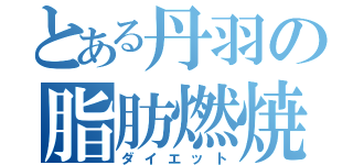 とある丹羽の脂肪燃焼（ダイエット）