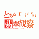 とあるｒｉｄｅｒ（男）達の翡翠観察（カワセミオブザベイション ）