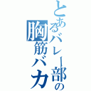 とあるバレー部の胸筋バカ（）