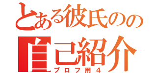 とある彼氏のの自己紹介（プロフ用４）