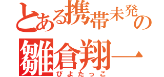 とある携帯未発送の雛倉翔一（ぴよたっこ）