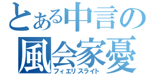 とある中言の風会家憂（フィエリスライト）