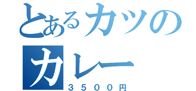 とあるカツのカレー（３５００円）