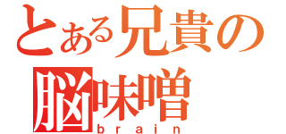 とある兄貴の脳味噌（ｂｒａｉｎ）