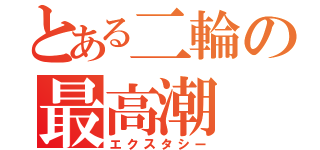 とある二輪の最高潮（エクスタシー）