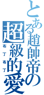 とある趙帥帝の超級的愛（布丁布丁）