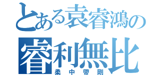 とある袁睿鴻の睿利無比（柔中帶剛）