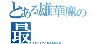 とある雄華魔の最（インデックスああああああ）