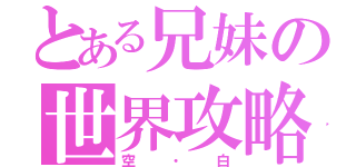 とある兄妹の世界攻略（空・白）