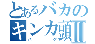 とあるバカのキンカ頭Ⅱ（ハゲ）