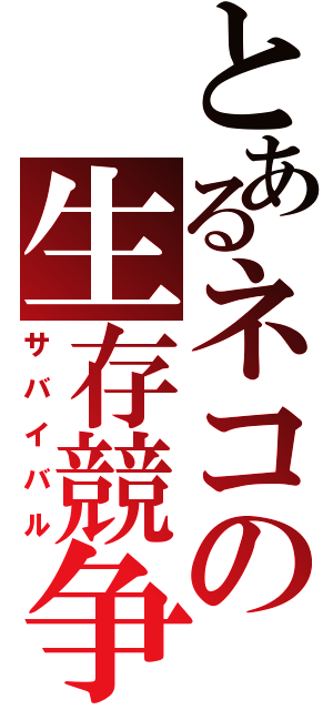 とあるネコの生存競争（サバイバル）