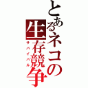 とあるネコの生存競争（サバイバル）