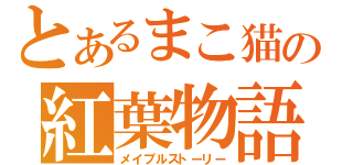 とあるまこ猫の紅葉物語（メイプルストーリー）