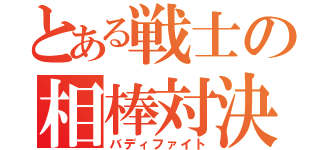 とある戦士の相棒対決（バディファイト）