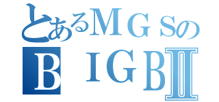 とあるＭＧＳのＢＩＧＢＯＳＳⅡ（）