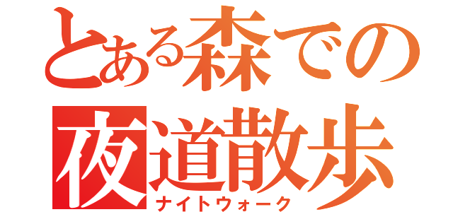 とある森での夜道散歩（ナイトウォーク）