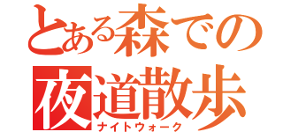 とある森での夜道散歩（ナイトウォーク）