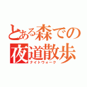 とある森での夜道散歩（ナイトウォーク）