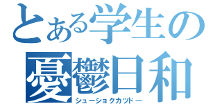 とある学生の憂鬱日和（シューショクカツド―）