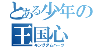 とある少年の王国心（キングダムハーツ）